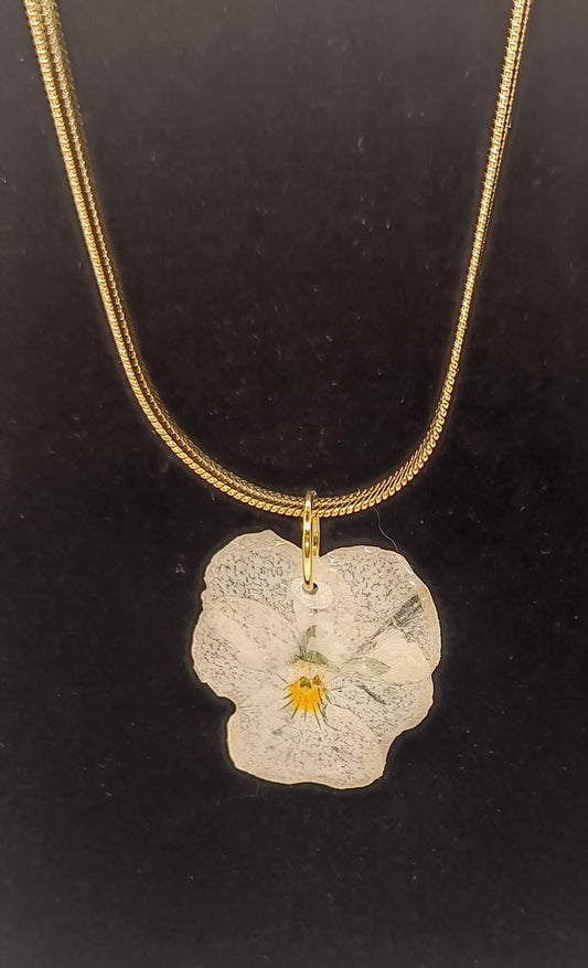 Halsband med torkade penséer