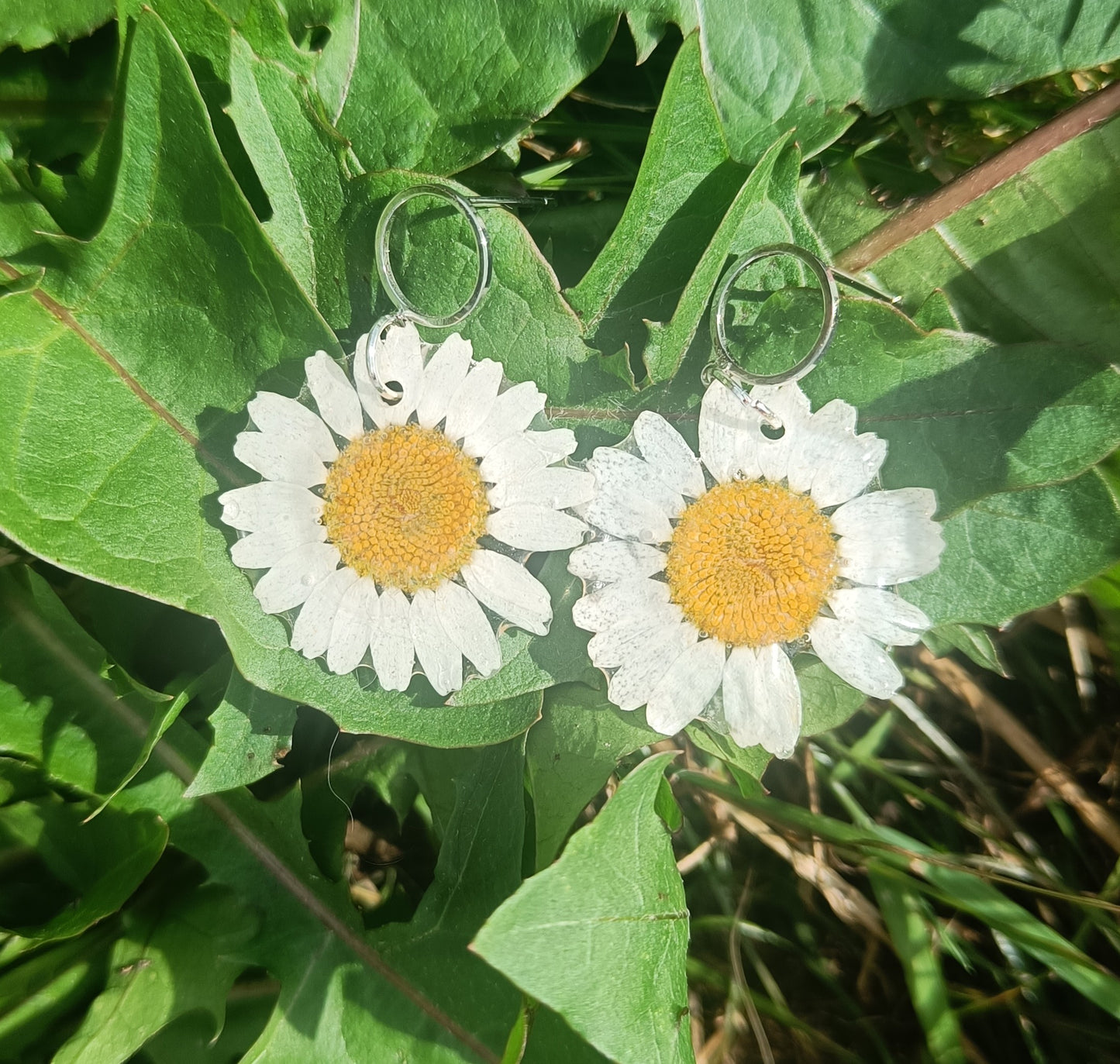 Daisy earrings