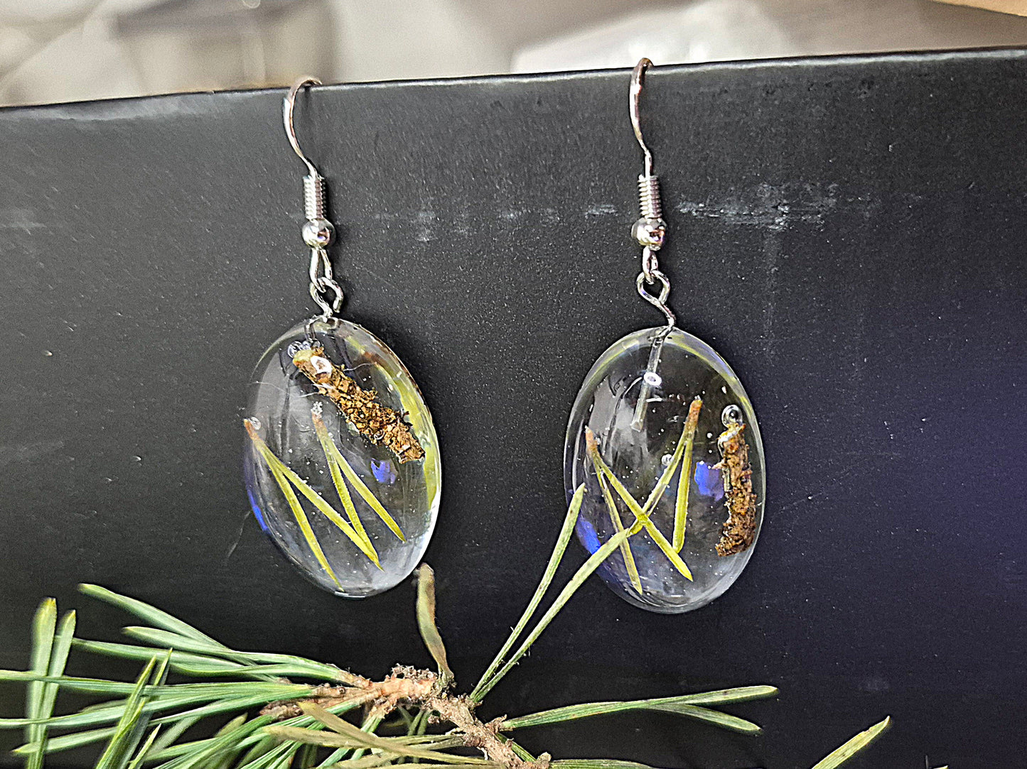 Örhängen med tallbarr och kvist