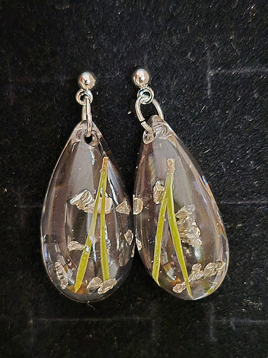 Örhängen med tallbarr och silver