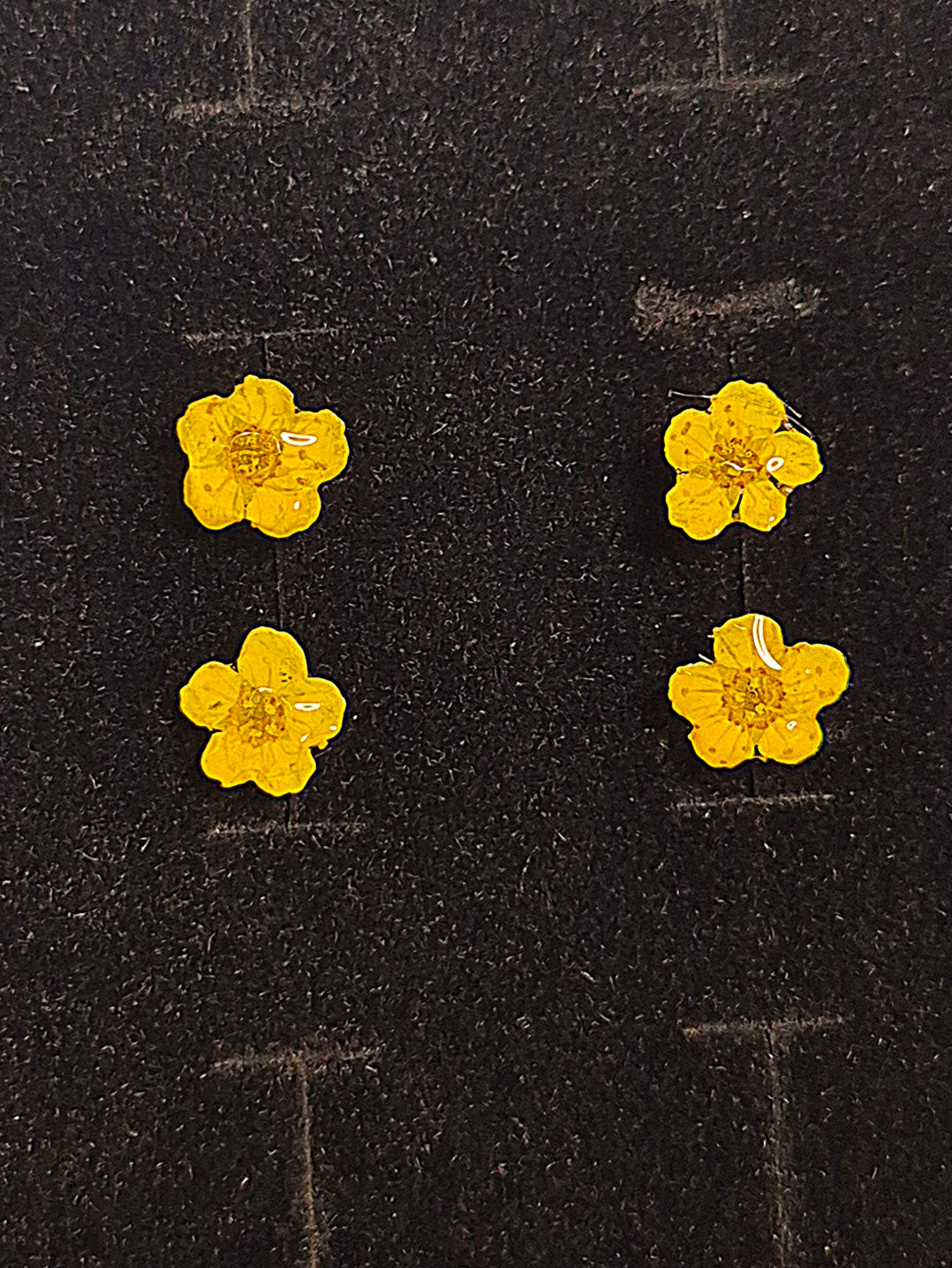 Örhängen med ölandstok