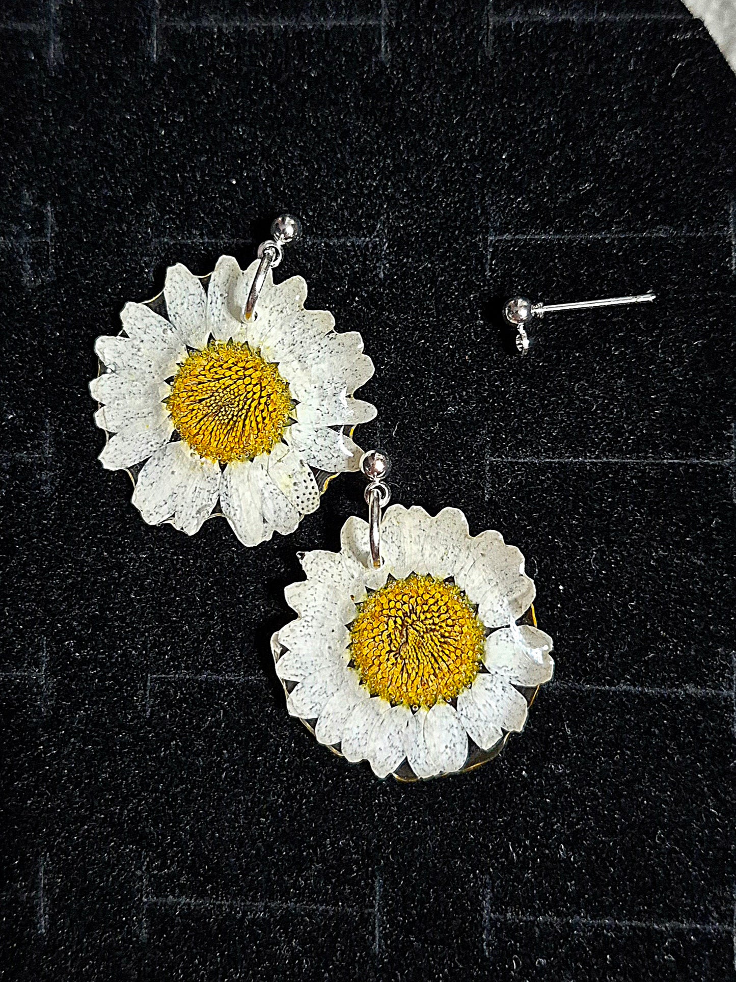 Örhängen med margerit