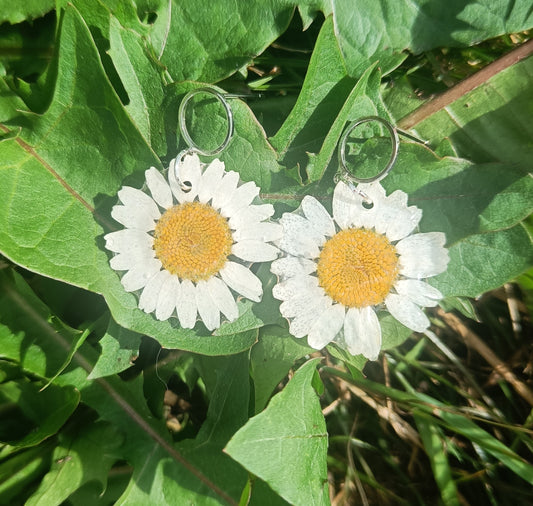 Daisy earrings