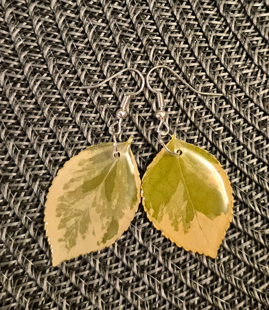 Julerbjudande: Örhängen och halsband 300kr.