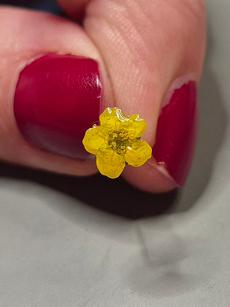 Örhängen med ölandstok