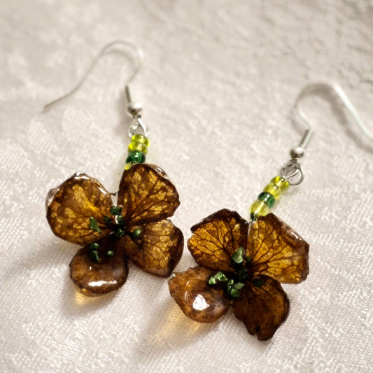 Earrings with climbing hydrangea